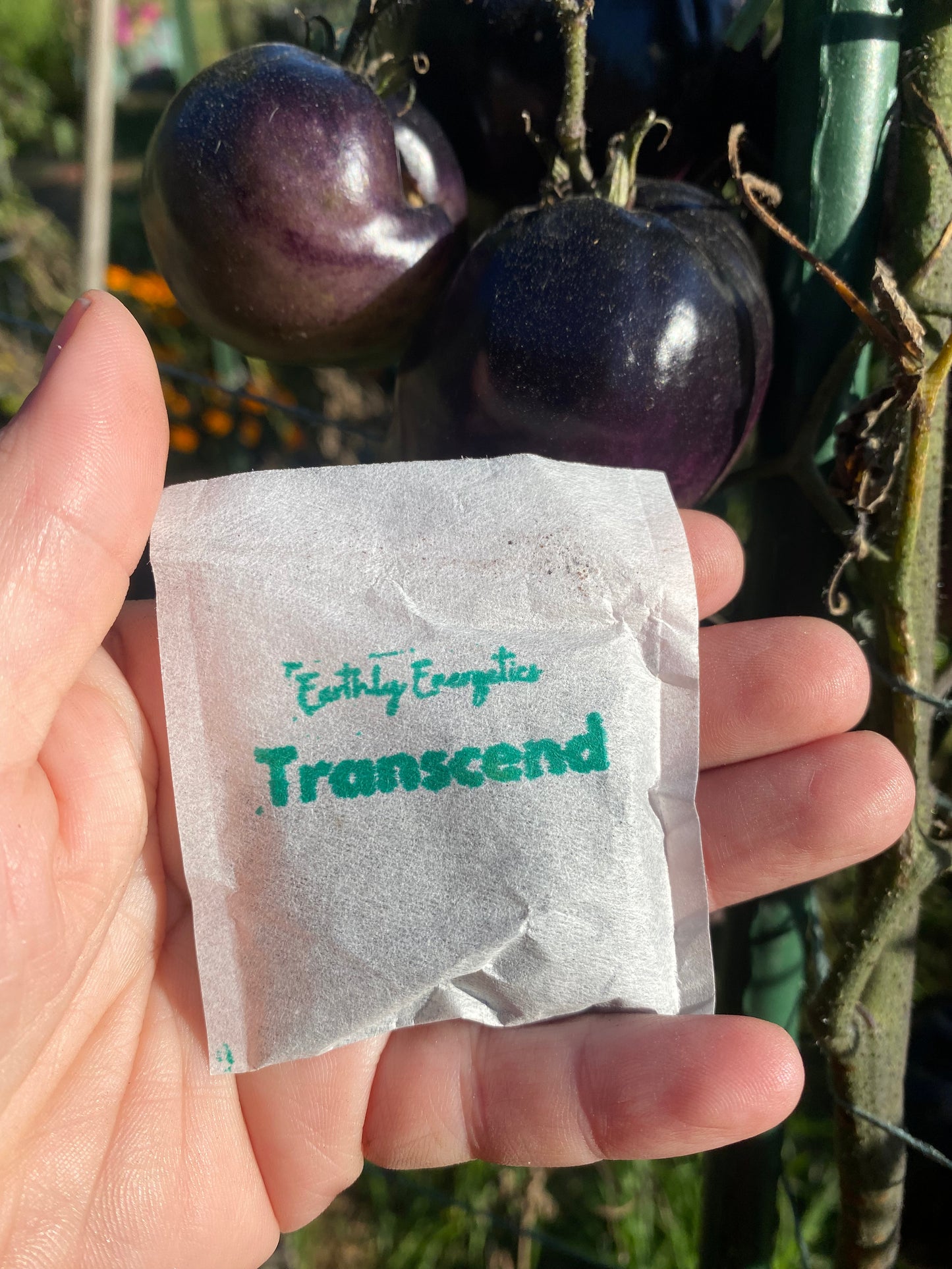 Transcend (8 ct.) Bloom and Fruit Support